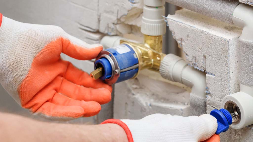 Whole-Home Plumbing Inspection.