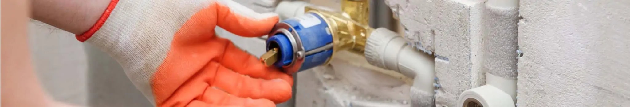Whole-Home Plumbing Inspection.