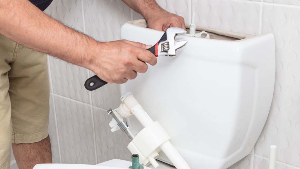 Toilet Repairs | Installation | Snohomish, WA